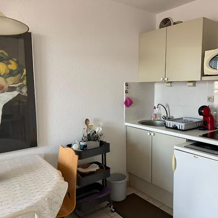 Climatise Avec Parking, Proche - Fr-1-309-74 バニュルス・シュル・メール